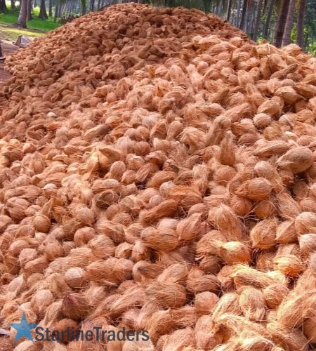 Why Importers perfer to buy Indian Coconuts? Semi Husked Coconut 6